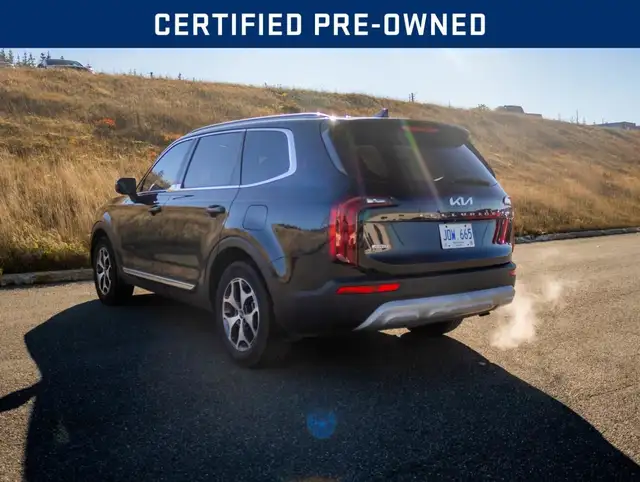 2022 Kia Telluride EX in Cars & Trucks in St. John's - Image 6