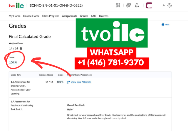 TVO ILC COURSES HELP/ ENTIRE COURSE/ ASSIGNMENT HELP, EXAM HELP446508960506849281