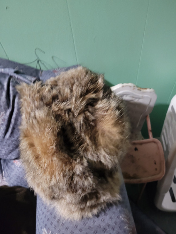 Vintage ladies fur coat and hat in Arts & Collectibles in Belleville - Image 4