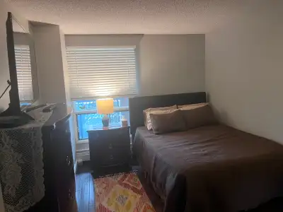 Executive Furnished 2 Bedroom Condo, View more