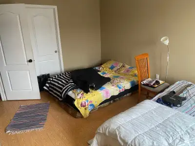 Spacious single room with private bathroom, Single room with shared washroom, Basement Rooms with sh...