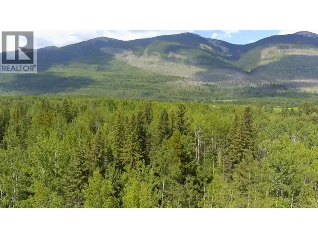 DL 5314 HORSESHOE LAKE ROAD McBride, British Columbia in Land for Sale in Quesnel - Image 15