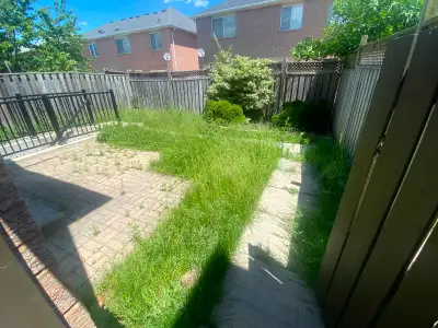 Lawn Maintenance, View more