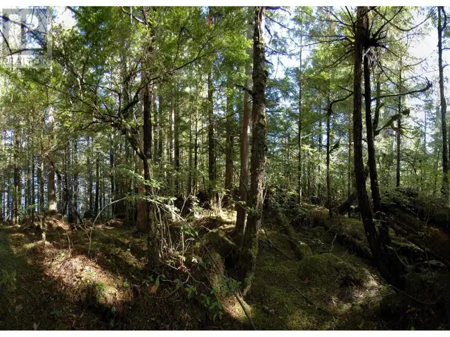 1302 GOBLE POINT Prince Rupert, British Columbia in Land for Sale in Prince Rupert - Image 20