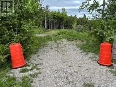 DO YOU WANT TO LIVE IN THE COUNTRY? Love Nature?? This property is Mostly Treed & Just Waiting For Y...