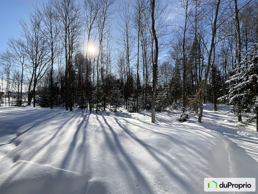 $785,000 - Bungalow for sale in Trois-Rivières (Trois-Rivières) — photo 3