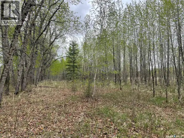 5.5km South of Dorintosh Lot 4 Meadow Lake Rm No.588, Saskatchew in Land for Sale in Meadow Lake - Image 3