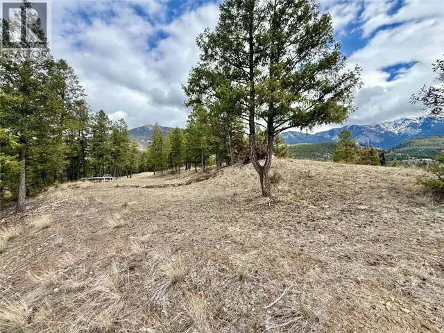 2400 KOOTENAY RD NO 3 Road Lot# 2 Windermere, British Columbia in Land for Sale in Cranbrook - Image 21