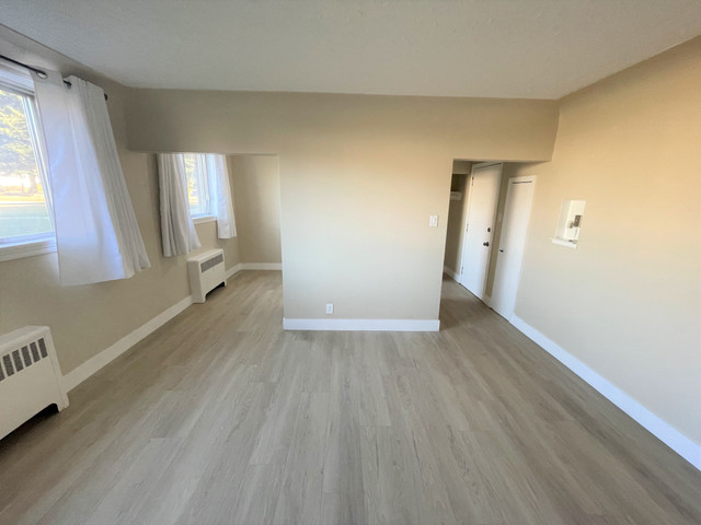 11615 113 Ave - Large 2 Bedroom Suite in a Quite Location in Long Term Rentals in Edmonton - Image 4