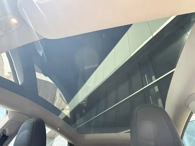 2023 Tesla Model Y Base5601878023766118427