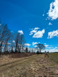 Just Listed | Pt Lot 70-75 13th Line Minto ON