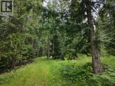 Discover a unique opportunity to own a picturesque parcel of land in Blewett, BC, just 10 minutes fr...