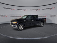 // ACCIDENT FREE!! // Meet the 2024 Ford F-150 XLT SuperCrew 5.5' Box 4WD, now at Haldimand Motors L... (image 3)