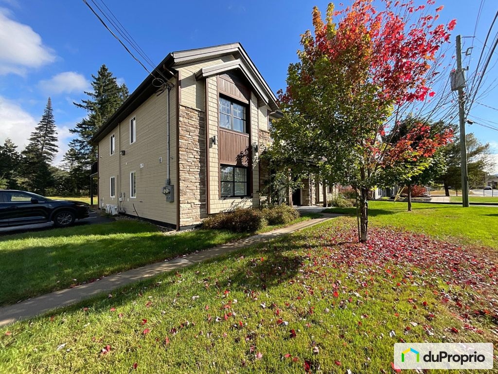 $585,000 - Duplex for sale in Mont-Tremblant (St-Jovite) — photo 2