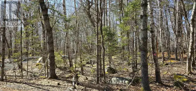 69 Sparkling Spring Lane Labelle, Nova Scotia in Land for Sale in Bridgewater - Image 2