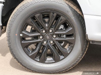 B&O Audio, Cooled Seats, Remote Start, Adaptive Cruise Control, Heated Steering Wheel, Running Board... (image 6)