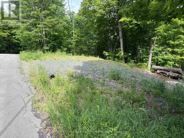 85 SUNNYSHORE PARK DRIVE McKellar, Ontario in Land for Sale in Barrie - Image 8