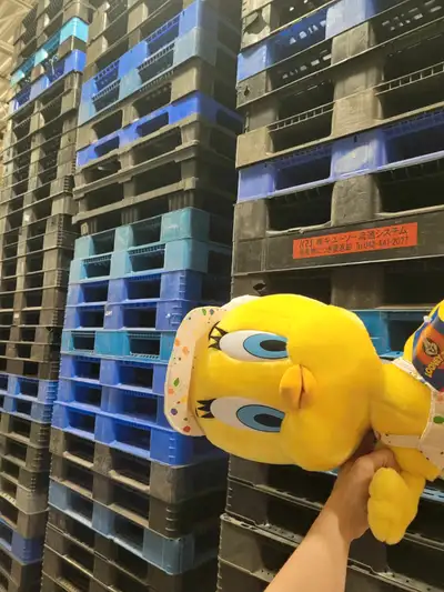 plastic pallets available indoor dry stock dock level loading, View more