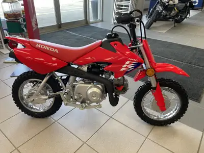 Engine Type: Single-Cylinder Displacement: 3 cu. in. (49 cc) Bore and Stroke: Bore: 1.54 in. (39 mm)...