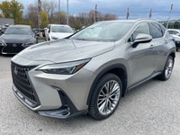 Groupe d'options Ultra Premium. Apple Carplay, Sièges chauffants et ventilés, volant chauffant, toit... (image 8)