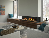 ELECTRIC & GAS FIREPLACE on SALE!!! 647-822-1426