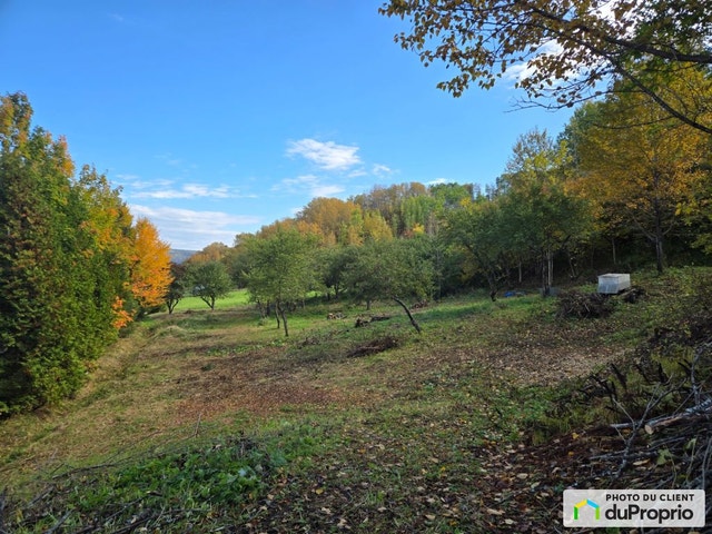 $200,000 - Commercial Lot for sale in L'Anse-St-Jean — photo 2