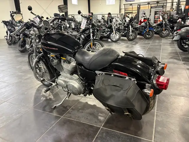2004 Harley-Davidson Sportster 883 Custom in Sport Bikes in Sudbury - Image 10