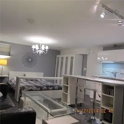 Fully Renovated, Bright & Spacious Basement Studio in the Yonge and Sheppard area, for rent as of Au...