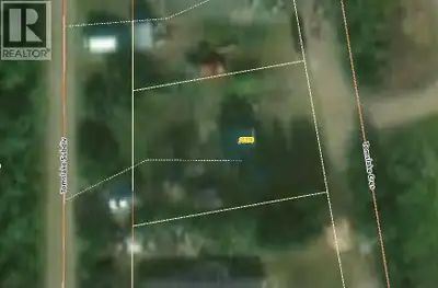 Enjoy country living on this serviced 0.18-acre property in the Tomslake area, conveniently located...