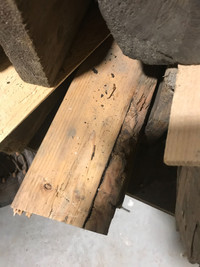 Fire wood. Sawmill slab