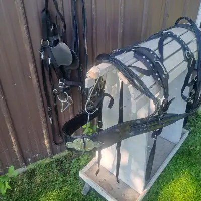 HORSE SIZE HARNESS, View more