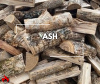 ASH, BIRCH, OAK, POPLAR - Tyndall Firewood Supply