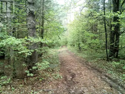 Huge Potential Rural Property - This property is 103.5 acres of dry and sandy soil with 2560 ft alon...