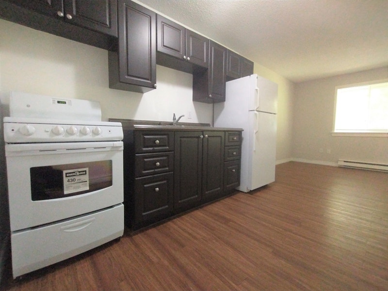 Cozy Bachelor Apartment Available August 1st! Long Term Rentals