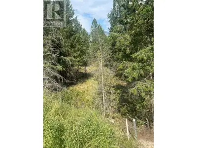 Prime lot for rear walk out design. No building commitments. Rural setting but close to all the conv...