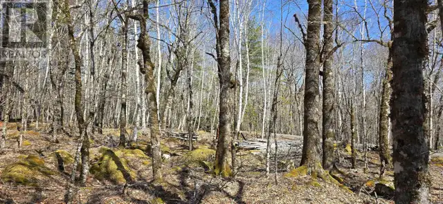69 Sparkling Spring Lane Labelle, Nova Scotia in Land for Sale in Bridgewater - Image 10
