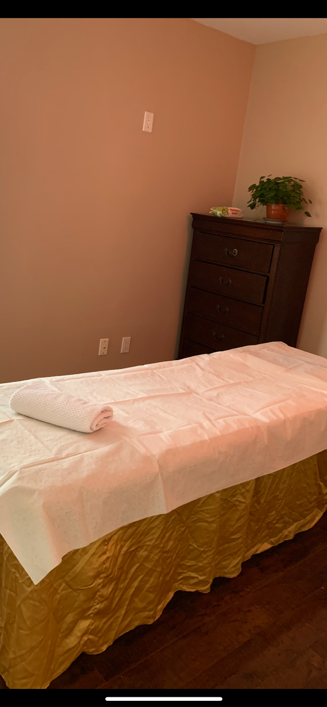 MASSAGE  &  ACUPUNCTURE  Spa in Massage Services in St. Catharines - Image 5