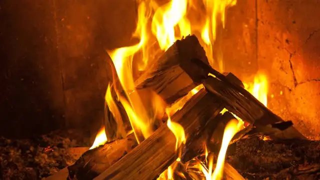 12" Split and Stacked Firewood65065472596227122