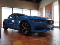 *** Dealer arranged financing on site! Quick, Simple, no calls or waiting on bank appointments requi... (image 7)