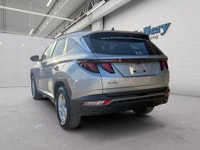 Accident Free! | Apple CarPlay / Android Auto | Heated Front Seats | Heated Steering Wheel | Auto Ve... (image 3)