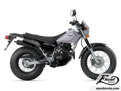 Excel Moto 2026 Yamaha TW200 Yamaha TW200 2026 YAMAHA TW200 2026 GRIS Prix incluant les frais de tra...