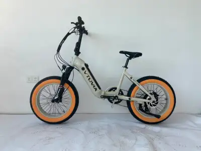 Fat bike kijiji hotsell