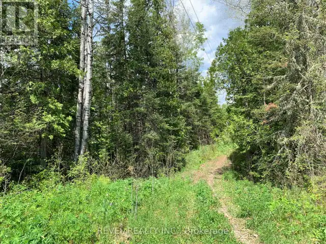 8625 KAMISKOTIA ROAD Timmins (MTJ - Kamiskotia), Ontario in Land for Sale in Timmins - Image 5