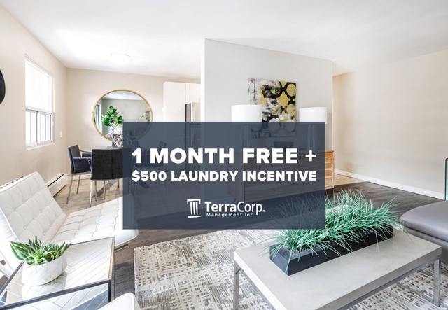 Affordable 1 Bed Apartment-Heat/Water Incl. - Walk to Everything