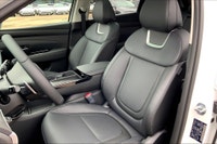 1.6 L 4 Cyl Engine Vehicle Options: Leather Interior, Panoramic Roof, 360 Degree Camera, Heads-up Di... (image 8)