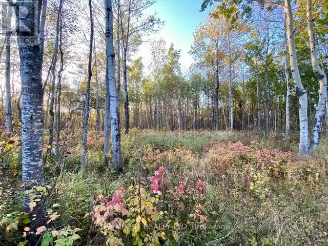 6524 HIGHWAY 11 HIGHWAY N Iroquois Falls, Ontario in Land for Sale in Timmins - Image 16