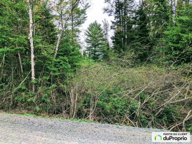 $129,900 - Land to be developed in Ste-Marguerite-Du-Lac-Masson — photo 3