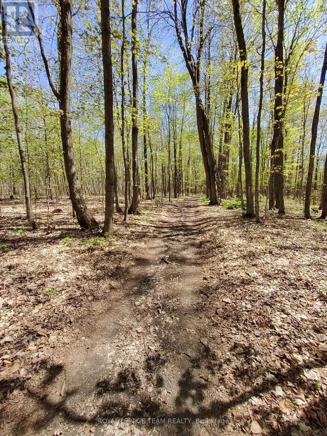 0 TOTEM RANCH ROAD Edwardsburgh/Cardinal, Ontario in Land for Sale in Woodstock - Image 7