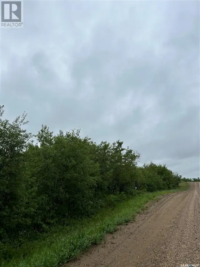 Riverview Road Acreage Lot Rosthern, Saskatchewan62863751843969121