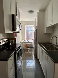 For rent 2 bedroom / 1 bath apartment in The Annex near UofT